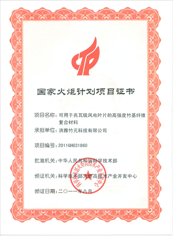 National-Torch-Program-Project