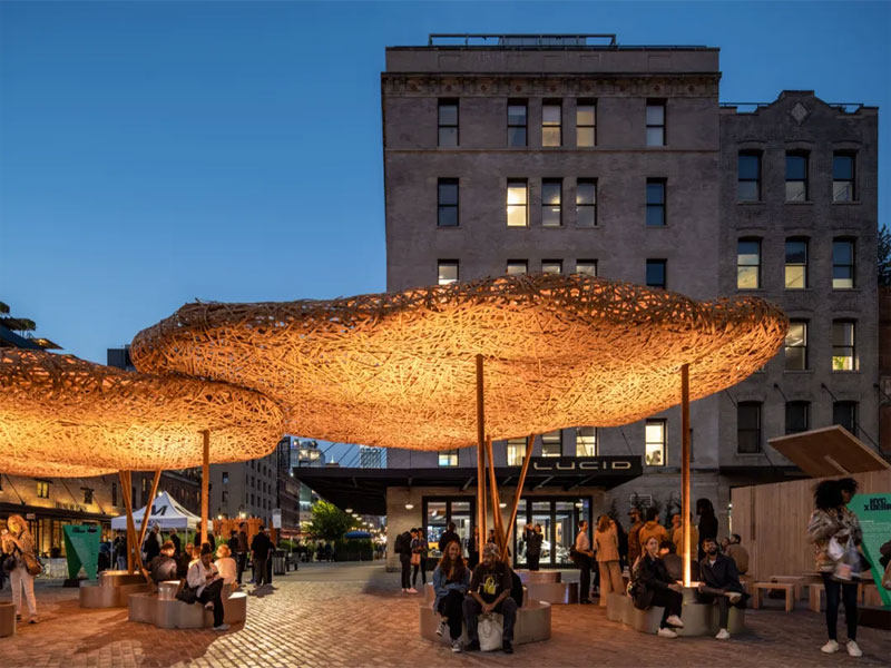 Bamboo Cloud, New York